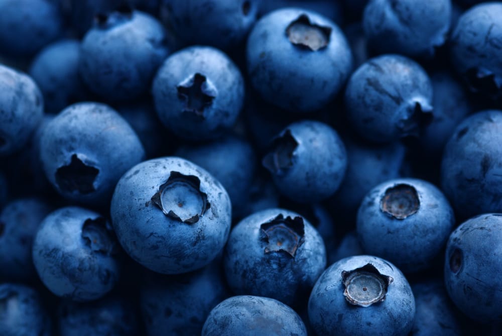 Aronia