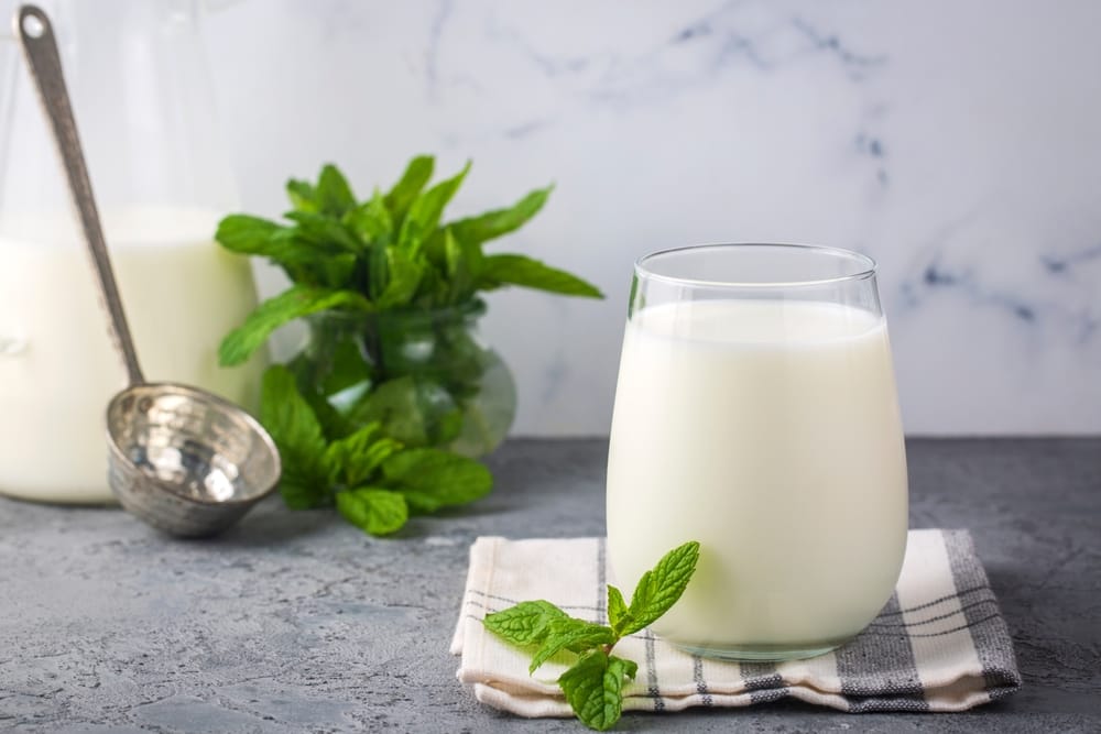 De ce se folosesc drojdii de kefir și ce face diferit Artesana față de alte produse fermentate?