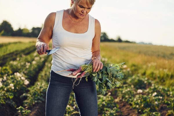 Fitoestrogenii în menopauză: în ce alimente se găsesc și ce se știe despre efectele lor